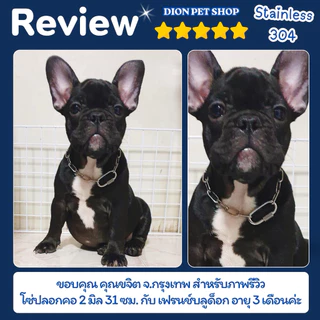 โซ่ปลอกคอสุนัข สแตนเลส 304 โดนน้ำได้ไม่ขึ้นสนิม💦ไม่มีขาด‼️ขนาด 2-4 มิล สำหรับสุนัขพันธ์เล็ก/ลูกสุนัข โซ่หมา