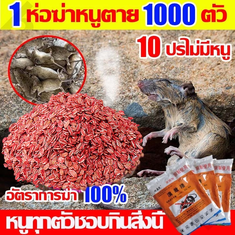 🔥ยาฆ่าหนู ยาเบื่อหนู กําจัดหนู หนูชอบมาก ตายแห้ง เหยื่อกำจัดหนู มันไม่เหม็น ยาเบื่อ หนู ยากําจัดหนู