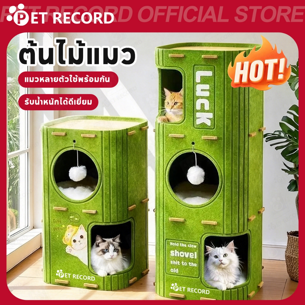 【PET RECORD】🔥 บ้านแมวต้นไม้ 2/3 ชั้น คอนโดแมว ที่ลับเล็บ ที่นอนแมว พับได้ พร้อมของเล่น