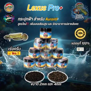LEXUS PRO for Auranti อาหารปลาช่อนน้ำเย็น เร่งครีบ เร่งสี สูตร PRO 25g.