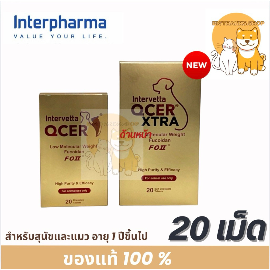 [ใหม่] Intervetta Qcer , Qcer Xtra อาหารเสริมภูมิคุ้มกันและปรับสมดุลร่างกาย สำหรับสัตว์ [1 กล่อง = 20 เม็ด]