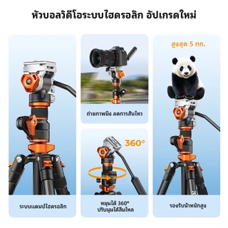 K&F CONCEPT T254A7+FH-03 ขาตั้งกล้อง หัววิดีโอไฮดรอลิก แกนนอน ถอดเป็นขาเดียวได้ ระบบล็อกหัวแบบแผ่น