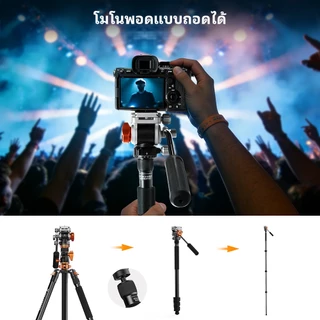 K&F CONCEPT T254A7+FH-03 ขาตั้งกล้อง หัววิดีโอไฮดรอลิก แกนนอน ถอดเป็นขาเดียวได้ ระบบล็อกหัวแบบแผ่น