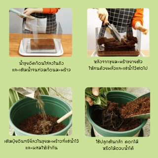 ขุยมะพร้าวอัดก้อน ปลอดเชื้อโรค สารแทนนินต่ำ ลดค่าความเค็ม 350g+