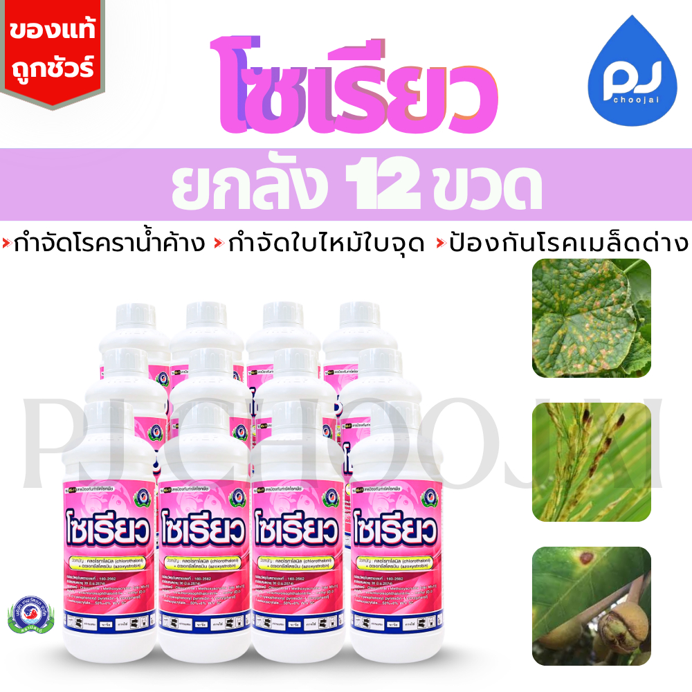 ยกลังโซเรียว 1ลิตรx12ขวด สองพลังบวกกำจัดเชื้อรา