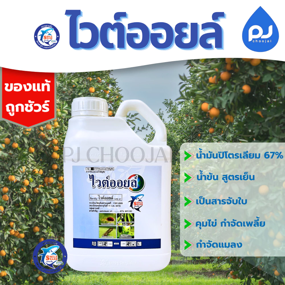 ไวต์ออยล์ แกลลอนขนาด 5ลิตร ฉลากใหม่