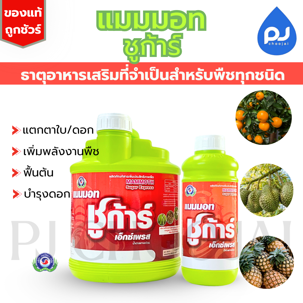 อาหารเสริมแมมมอท ชูก้าร์ เอ็กซ์เพรส