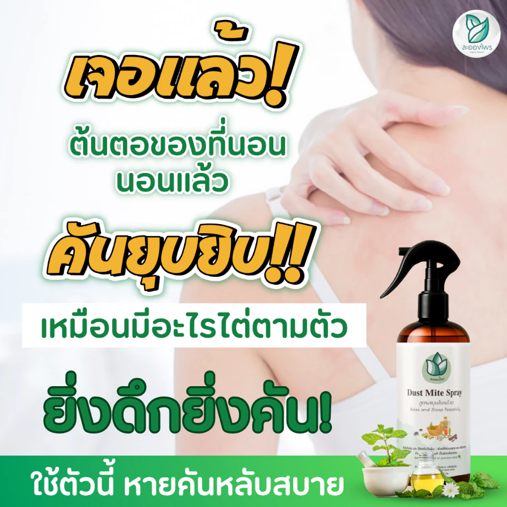 ละอองไพร (ของแท้100%) สเปรย์กำจัดไรฝุ่น สูตรสมุนไพร thumbnail 5