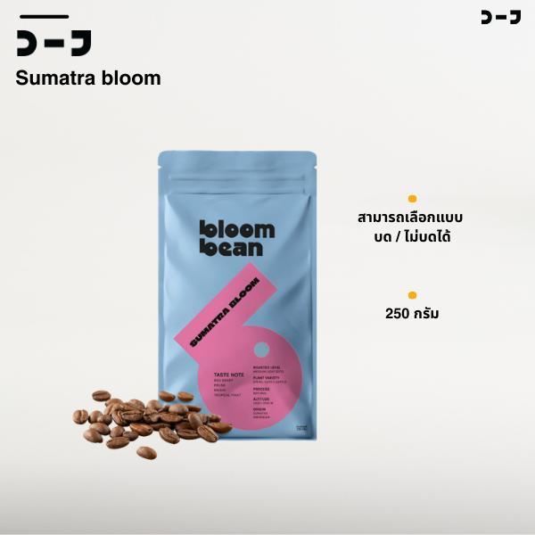 เมล็ดกาแฟคั่ว Sumatra Bloom คัดสรรจากสายพันธุ์ ATENG