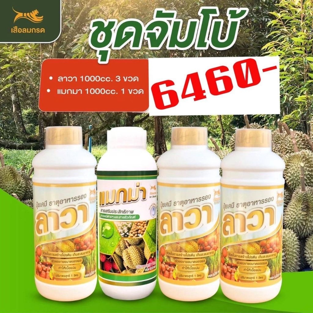 แม็กม่า 1000CC 1 ขวด+ลาวา 1000CC 3 ขวด