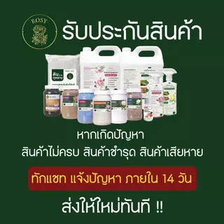Rosy เซ็ทคู่หูยาเม็ดฝังดิน + สเปรย์ [เลือกสูตรได้] คุมโรคและแมลงนาน 1 เดือน เพลี้ยไฟ เชื้อรา บำรุงกุหลาบ ปุ๋ยกุหลาบ