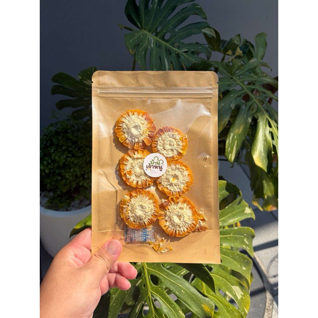 บ้านเจ้าหนู ข้าวโพดหวานอบแห้ง 6แว่น สำหรับแฮมสเตอร์ กระต่าย สัตว์ฟันแทะ คุณภาพดี ไม่มีน้ำตาลเพิ่ม ช่วยลับฟัน