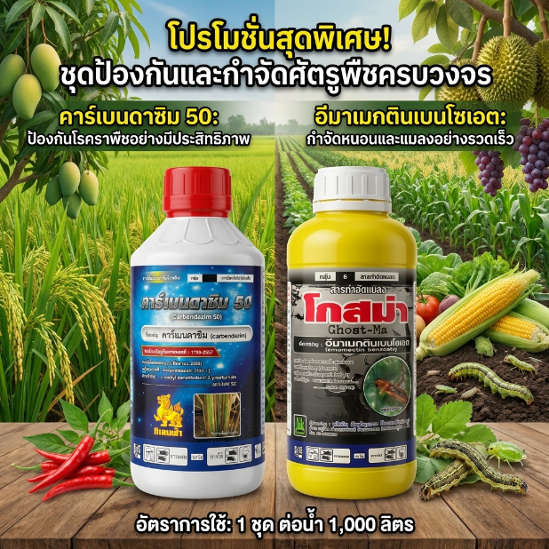 ชุดสองพลังบวก ปราบเชื้อรา+หนอน เพลี้ย(คาร์เบนดาซิม+อีมาเมกติน) สูตรเย็นทั้งคู่ 1 ชุดพ่นได้ 10 ไร่