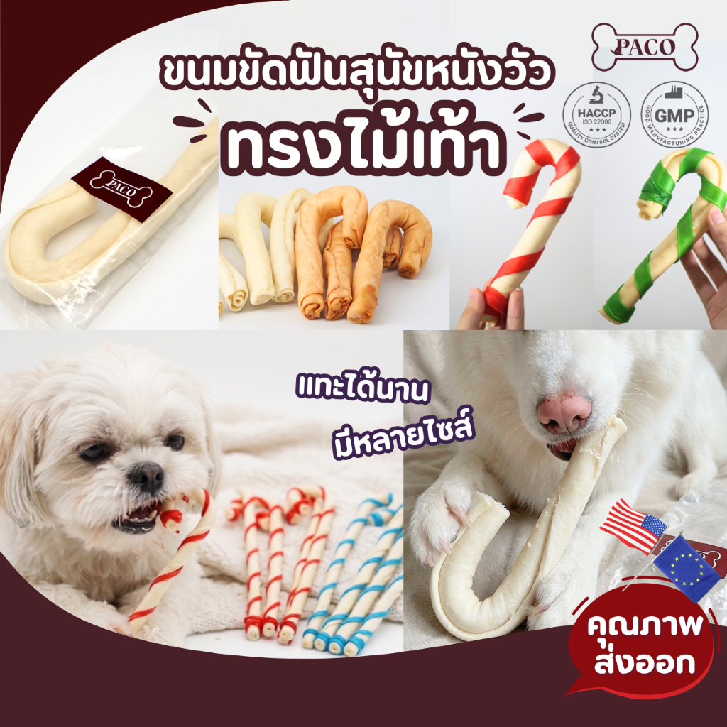 PACO ขนมขัดฟันสุนัข ไม้เท้า ( 6-12 นิ้ว) ขนมหมา มาตรฐานส่งออก ราคาส่ง ขนมขัดฟันหมา ขนมหมาเคี้ยวเล่น ขนมสุนัข