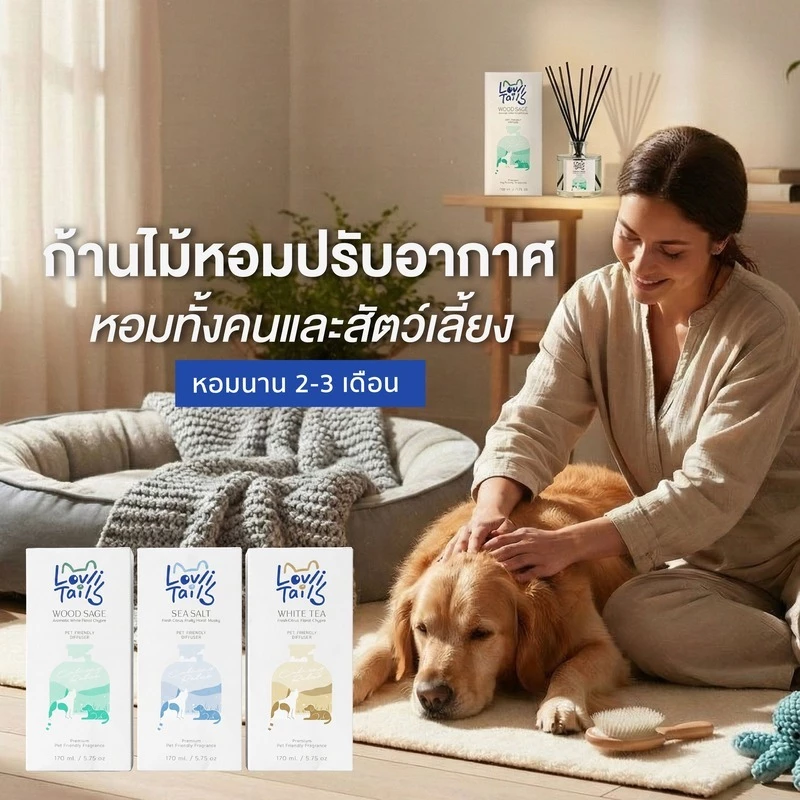 ก้านไม้หอมปรับอากาศ Pet Friendly หอมนาน 2-3 เดือน หอมทั้งคนและสัตว์เลี้ยง LovliTails เลิฟลี่เทล 170 มล.