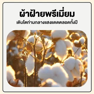 DreamHug หมอนเพื่อสุขภาพของเด็กๆ รองรับสรีระศรีษะของเด็กได้ดี​ ไม่ร้อน ไม่อับชื้น นุ่ม​ สบาย