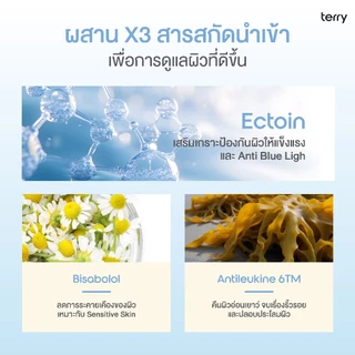 (กันแดดฟ้าโทนอัพคู่กันแดดหนมปัง) Terry Tone Up Routine Sunscreen SPF50+ PA++++