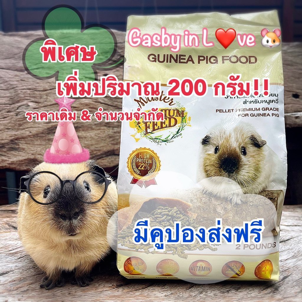 **แถมฟรี 200 กรัม** Master Premium Feed 🌿 อาหารเม็ดสำหรับหนูแกสบี้ระดับพรีเมียม 🐹