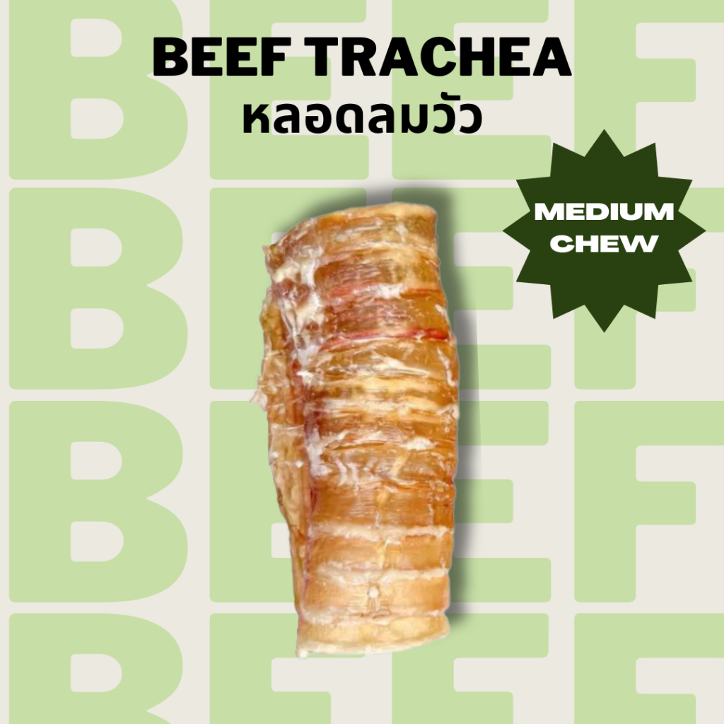 หลอดลมวัว ขนมแทะหมาอบแห้ง แก้เบื่อ ขัดฟัน Bella's Bites Beef Trachea Chew