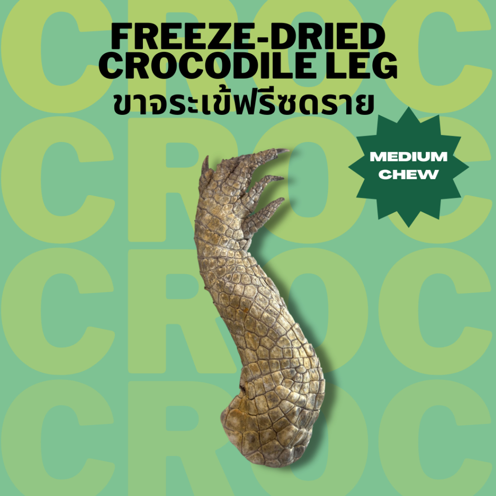 ขาจระเข้ฟรีซดราย Bella’s Bites Freeze Dried Crocodile Leg – โปรปัง