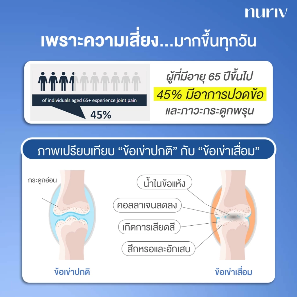 Nuriv Undenatured Collagen Type II 60Capsules นูรีฟ อันดีเนเจอด์ คอลลาเจน ไทพ์ทู 60แคปซูล thumbnail 5