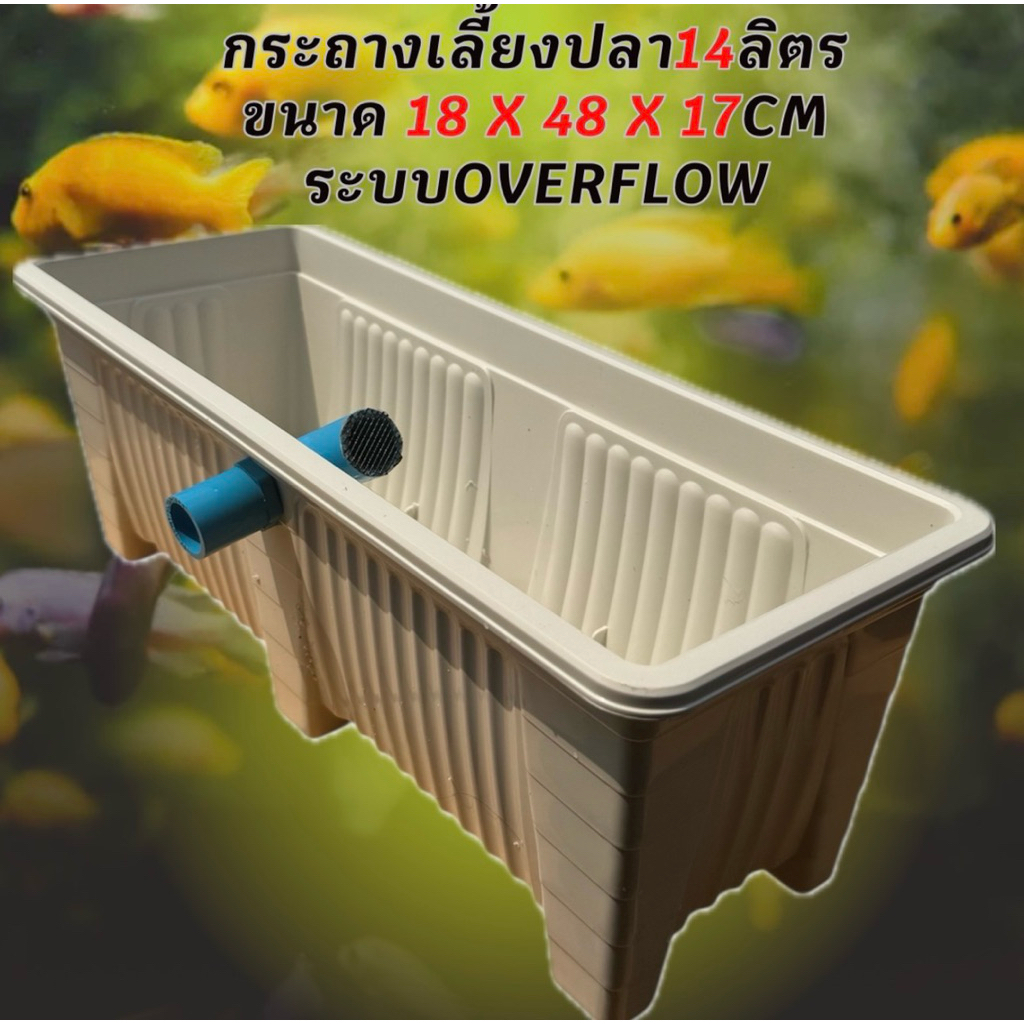 กระถางเลี้ยงปลามินิ 14 ลิตร ระบบoverflow ขาวท่อฟ้า อ่างเลี้ยงปลา กรองตู้ปลา อ่างปลาบอลลูน อ่างปลาหาง