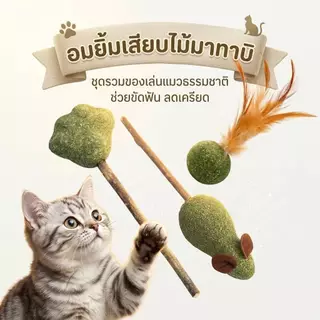 Boqi Factory catnip แคทนิปอมยิ้มเสียบไม้มาทาบิสมุนไพรแมวฟินแคทนิปแมวกัญชาแมว(ของเล่นแมว)​ Catnip Toy XJ