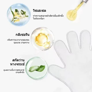ถุงมือเช็ดสัตว์เลี้ยง กำจัดกลิ่นเหม็นทำความสะอาดลึก ไม่ระคายเคืองผิว ไม่ต้องล้างน้ำ ปราศจากแอลกอฮอล์ เลียปลอดภัย COD