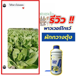 พาวเวอร์โกรว์#PowerGrow#1ลิตรแถม500cc