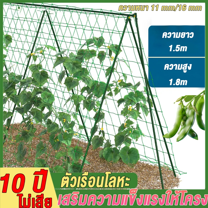 10 ปีไม่ชำรุด ไม้ค้ำต้นDIY โครงปลูกผัก ซุ้มเลื้อย ยาว90-180ซม.หนา11มม.ยันต้น ค้างต้น ผัก ซุ้ม