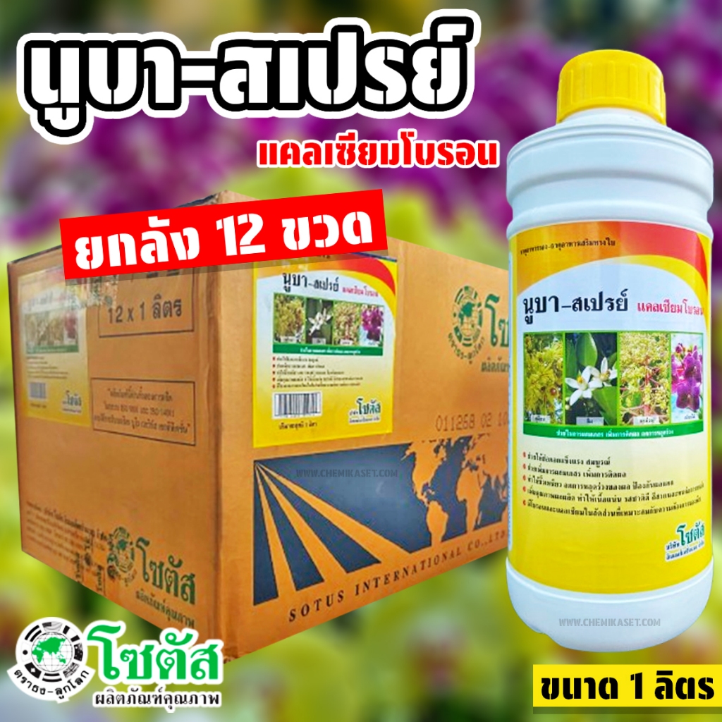 (ยกลัง 12 ขวด) นูบา-สเปรย์ ขนาด 1 ลิตร แคลเซียมโบรอน โซตัส