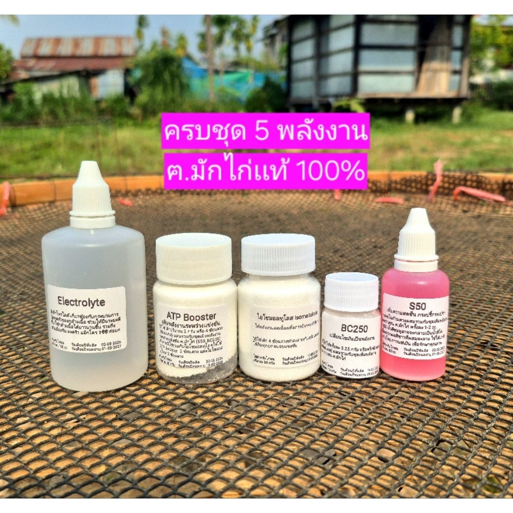ครบชุด ATP+Iso+El 5 พลังงาน ฅ.มักไก่ เเท้ 100%