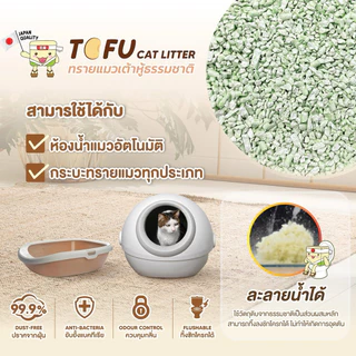 Kasty ทรายแมวเต้าหู้ 6,10, 20L แคสตี้ ปราศจากฝุ่น ทิ้งชักโครกได้