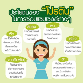 💚🌿 โปรตีนแอมเวย์ Nutrilite Amway Protein นิวทริไลท์ 🌿💚 มั่นใจคุณภาพ ของแท้ฉลากไทยช้อปไทย พร้อมส่ง📦💚