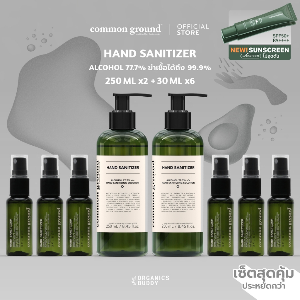 [เซ็ท] Common Ground Alcohol Hand Sanitizer 250mlx2 + Spray 30mlx6 แอลกอฮอล์ 77.7%