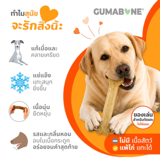 🇺🇸Made in USA🇺🇸 Nylabone Flexi Chew Toy Gumabone Original Bone ของเล่นขัดฟันสุนัข เนื้อนุ่ม ไร้สารพิษ