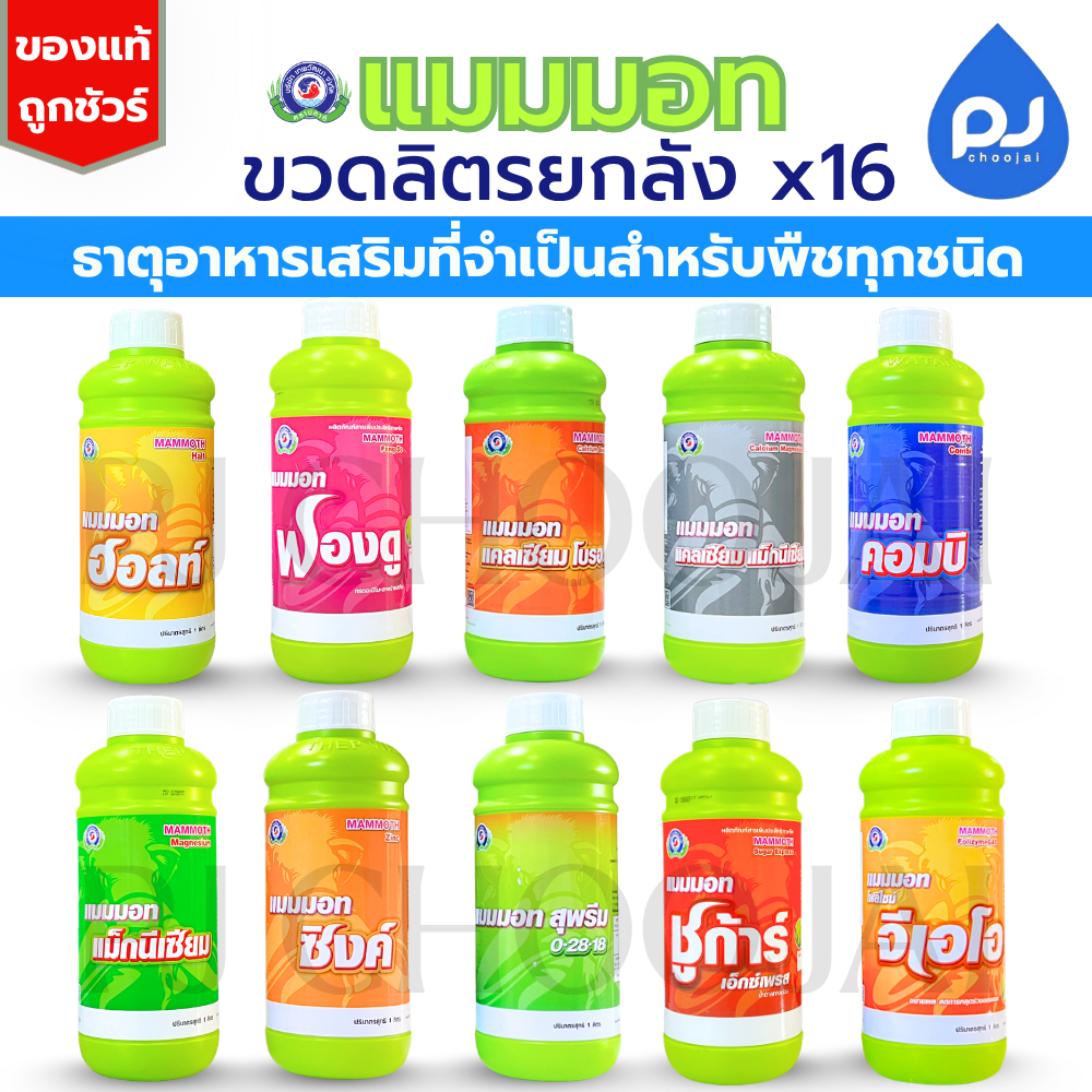 ยกลังขวดลิตรx16ขวด แมมมอทเทพวัฒนา จำกัด