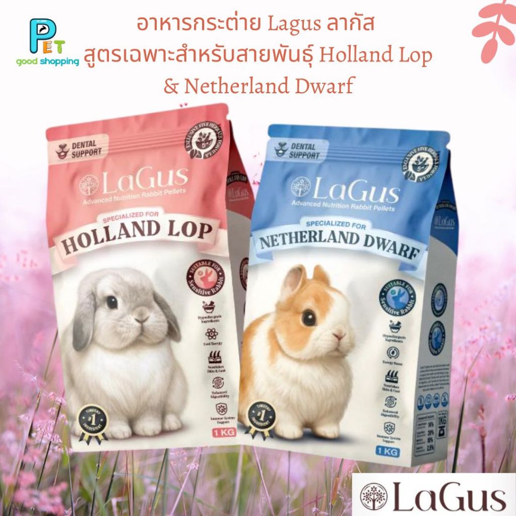 อาหารกระต่าย Lagus ลากัส สูตรเฉพาะสำหรับสายพันธุ์ Holland Lop & Netherland Dwarf 1 kg.