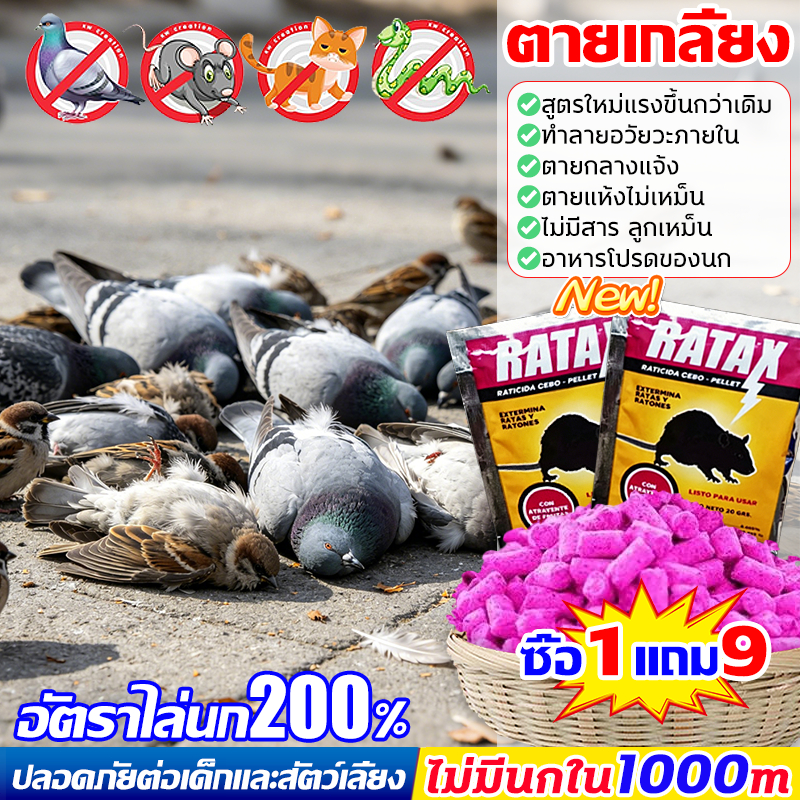ซื้อ1แถม9 ยาฆ่านกพิราบ 6เห็นผลชัวร์200% ยาเบื่อนก กำจัดนกพิราบและนกทุกชนิด ยาฆ่านก 40g แห้งเร็วและไม่มีกลิ่น