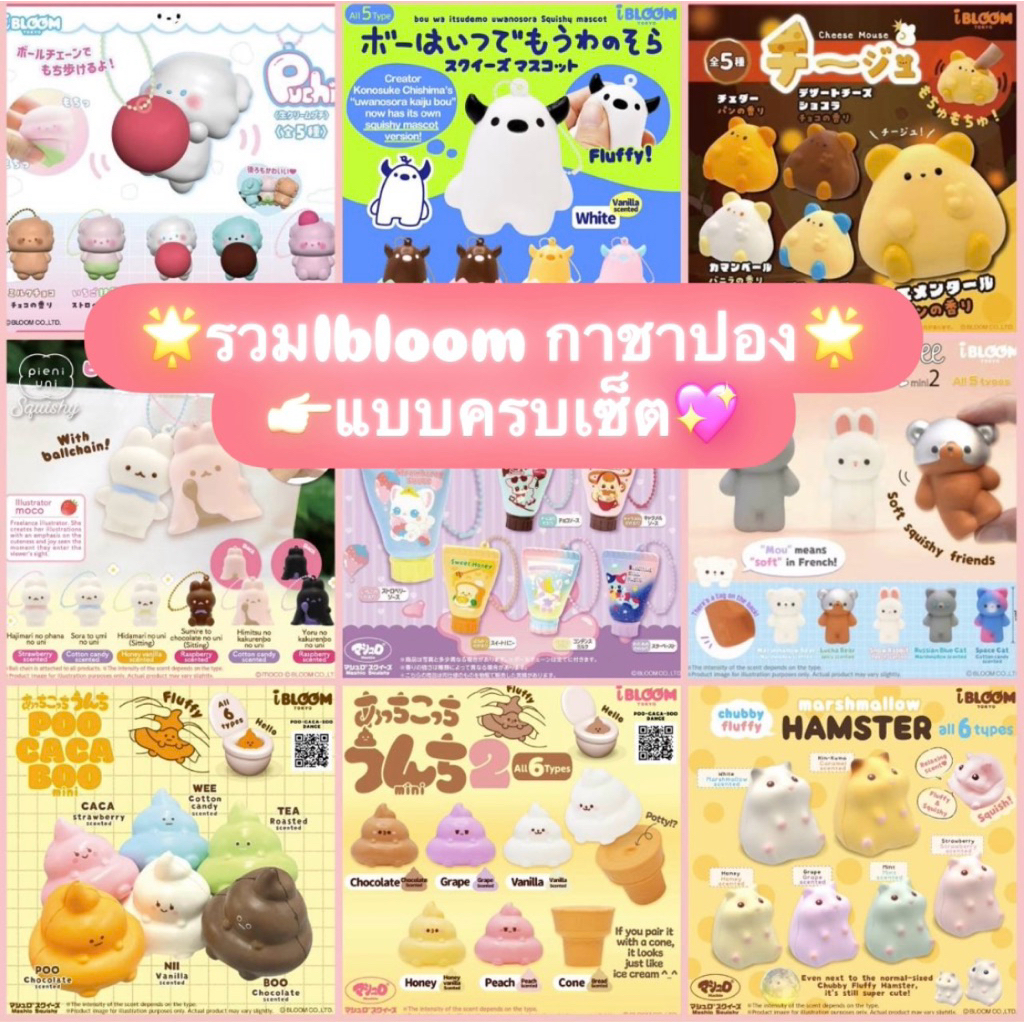 🌟รวมIbloom แบบครบเซต🌟