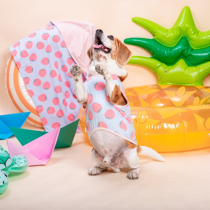 Favchild Mulberry Pet Bodysuit (แขนกุด) | Pool Party Collection