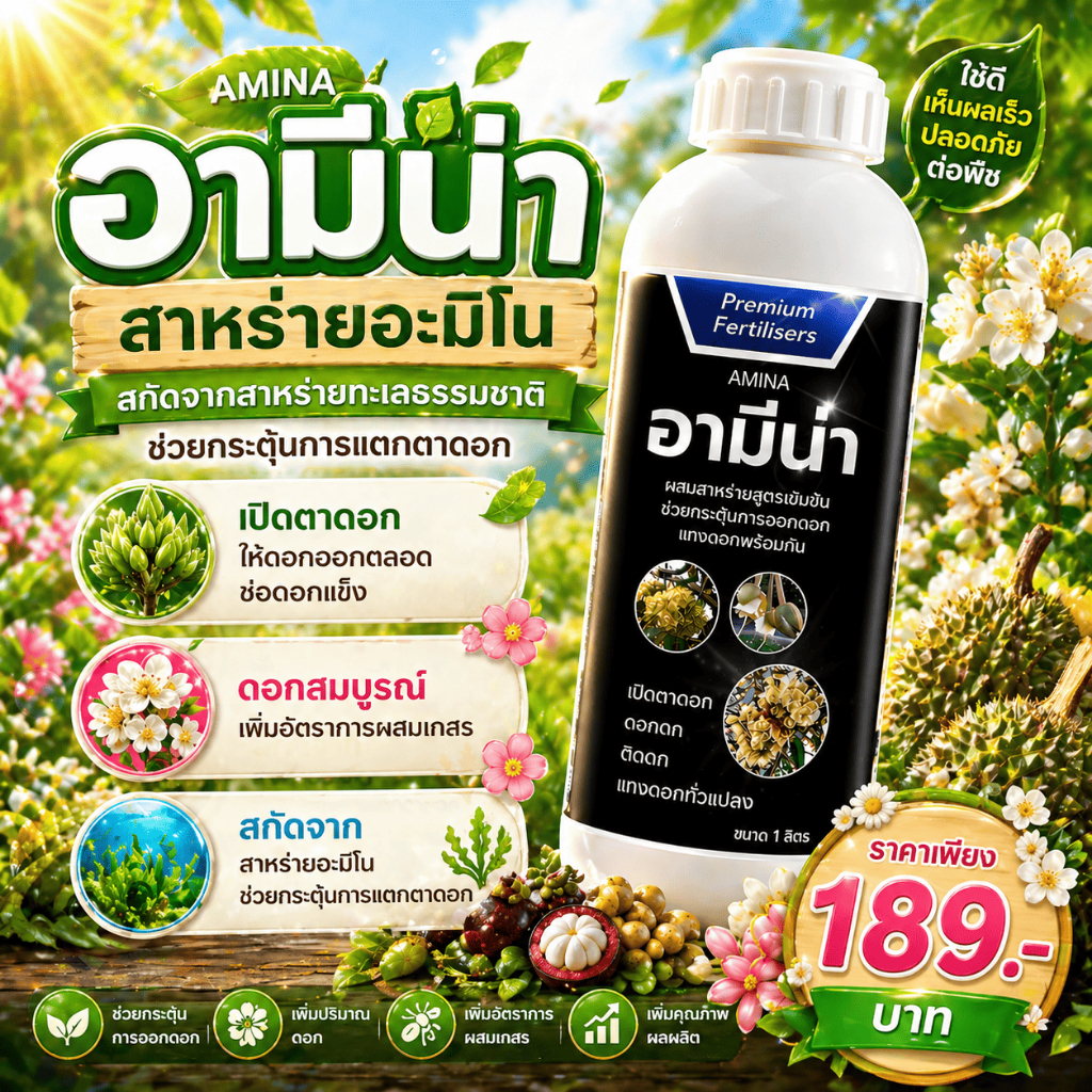 สาหร่ายเปิดตาดอก อามีน่า 4ลิตร เปิดตาดอก ดอกดก สาหร่ายอะมิโน ติดดอก ผลดก บำรุงดอก บำรุงผล