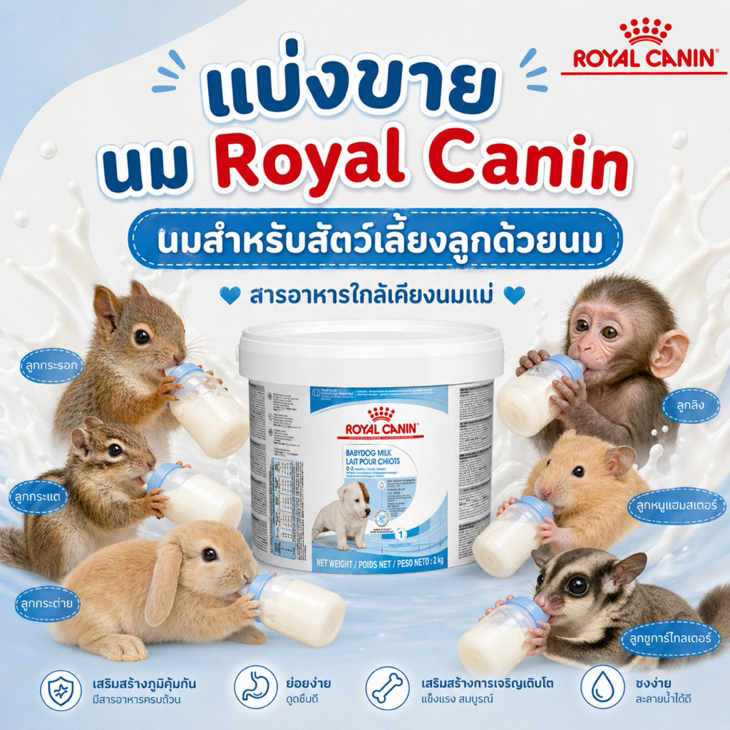 นม Royal canin baby dog milk นมรอยัลคานิน แบ่งขาย 50 กรัม 100 กรัม 📌ถูกมาก📌 exp. 08/10/2026