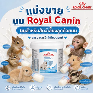 นม Royal canin baby dog milk นมรอยัลคานิน แบ่งขาย 50 กรัม 100 กรัม 📌ถูกมาก📌 exp. 08/10/2026