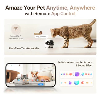 Enabot หุ่นยนต์กล้องอัจฉริยะ ROLA Mini FamilyBot ติดตามสัตว์เลี้ยงของคุณได้ทุกมุมในบ้าน