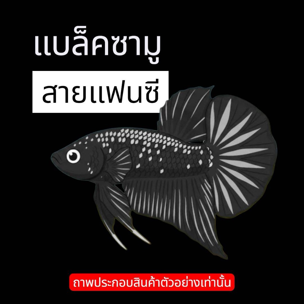 อุปกรณ์ตกแต่งตู้ปลาสำหรับปลากัด“ซามู“