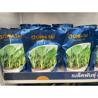 เมล็ดพันธุ์ คะน้า คะน้ายอด เจ้าคุณทิพย์ ตราเจียไต๋
