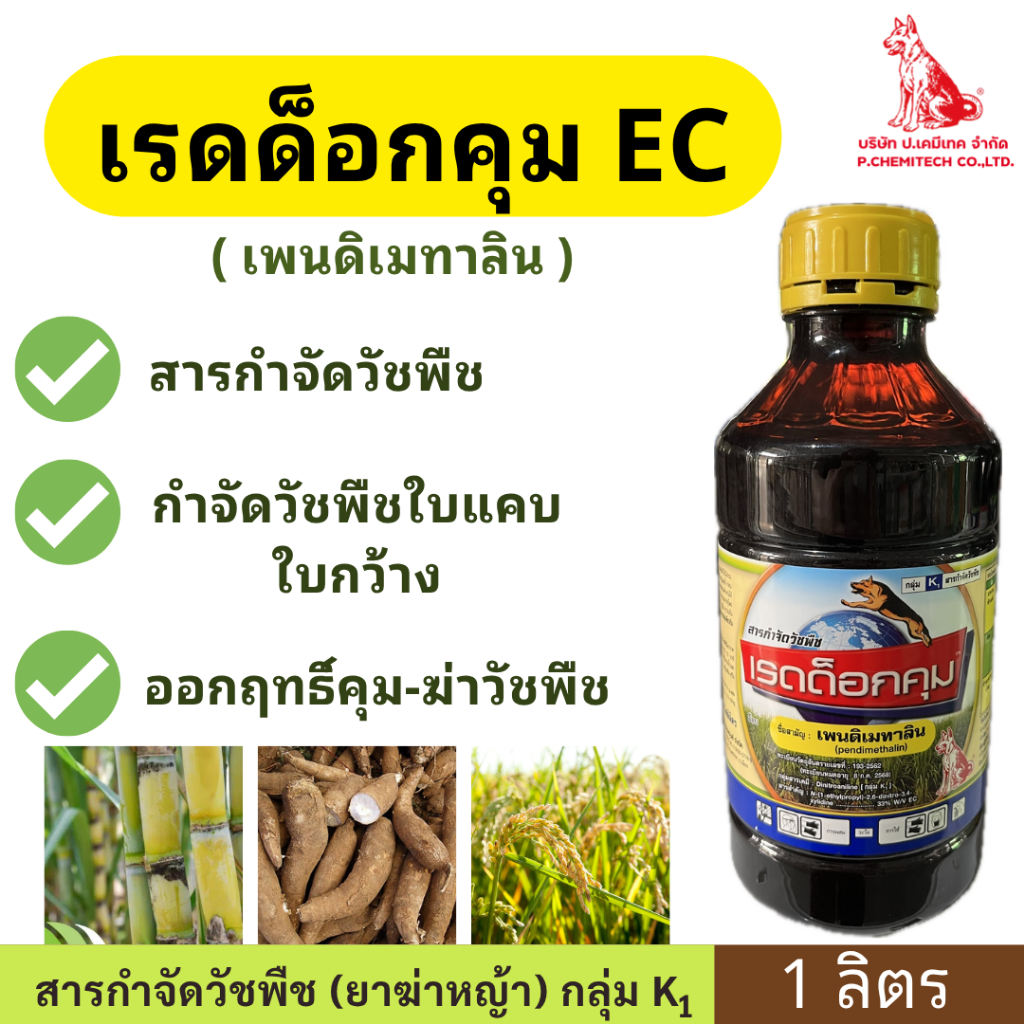 เรดด็อกคุม EC ( เพนดิเมทาลิน ) ขนาด 1ลิตร ตราหมาเเดง ออกฤทธิ์ คุม - ฆ่าวัชพืชใบแคบ และใบกว้าง กกบางชนิด ในนาข้าว