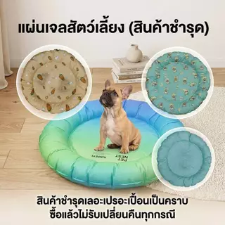 Boqi Pet Cool mat เย็นสบาย แผ่นเจลเย็น ที่นอนเย็น แผ่นทำความเย็น สินค้าเลอะ เปอะเปื่อน SALE 1010