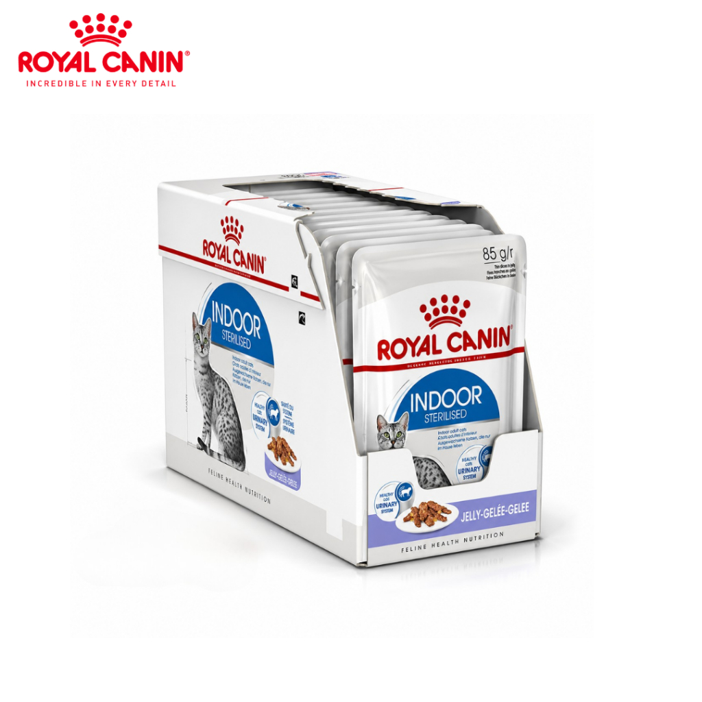 Royal Canin อาหารเปียกแมวโตเลี้ยงในบ้าน ซอสเกรวี่ 1ปี+ 12ซอง Indoor Pouch Gravy Petus Kingkaew